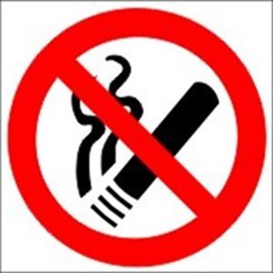 Picture of NO SMOKING 15X15