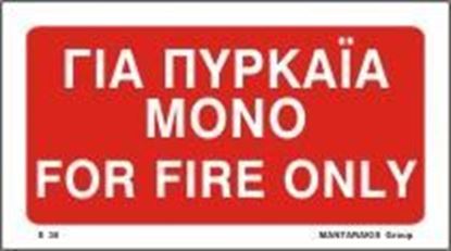 Picture of FOR FIRE ONLY SIGN    10x20