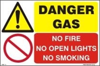 Picture of DANGER GAS