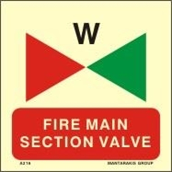 Picture of FIRE MAIN SECTION VALVE 15X15