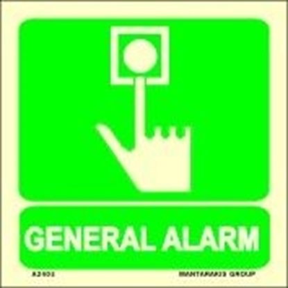 Снимка на GENERAL ALARM 15X15