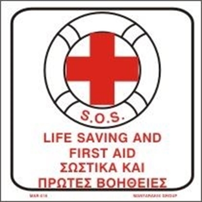 Εικόνα της LIFE SAVING AND FIRST AID 20X20