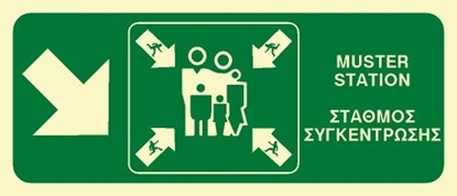 Εικόνα της MUSTER STATION SIGN 15X35