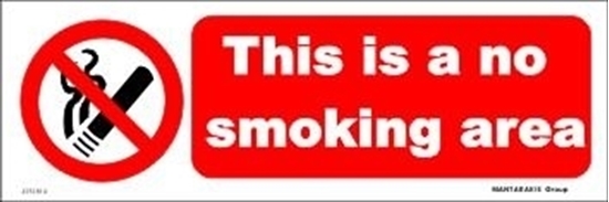 Picture of THIS IS A NO SMOKING AREA 10X30