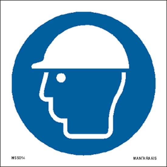 Picture of Wear head protection 15 x 15