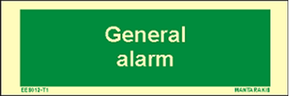 Picture of Text General Alarm 5 x 15