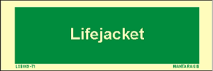 Picture of Text Lifejacket 5 x 15